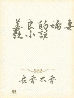 善良的娇妻被调教小说