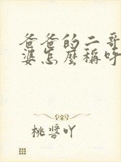 爸爸的二哥的老婆怎么称呼