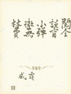 林微小说阅读免费无弹窗全文
