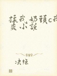揉我奶头c我好爽小说
