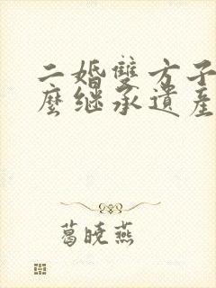 二婚双方子女怎么继承遗产