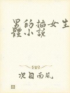 男的插女生的下体小说