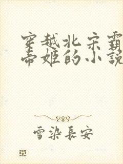 穿越北宋霸占了帝姬的小说