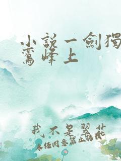 小说一剑独尊青鸾峰上