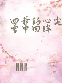 四爷的心尖宠妃雪中回眸