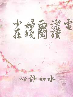 少妇白洁电子书在线阅读