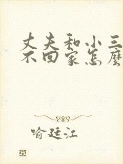 丈夫和小三同居不回家怎么办