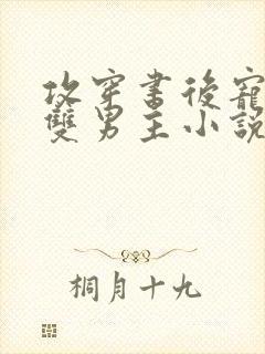 攻穿书后宠受的双男主小说推荐