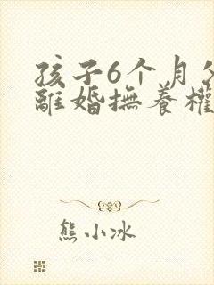 孩子6个月父母离婚抚养权应该归谁