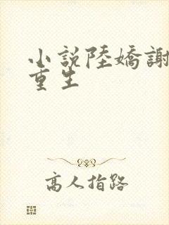 小说陆娇谢云瑾重生