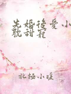先婚后爱小说原耽甜宠