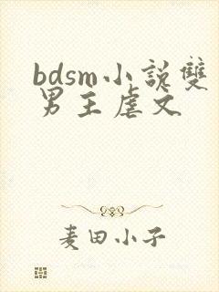 bdsm小说双男主虐文