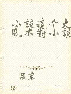 小说这个大佬画风不对小说