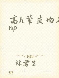 高h荤爽肉欲文np