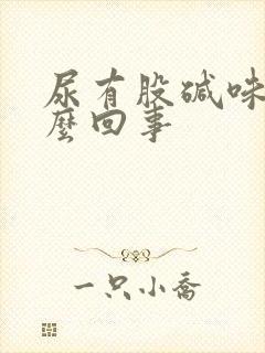 尿有股碱味是怎么回事