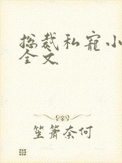 总裁私宠小娇妻全文