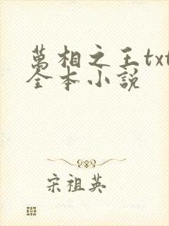万相之王txt全本小说