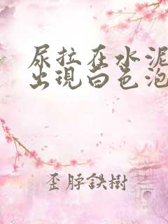 尿拉在水泥地上出现白色泡沫