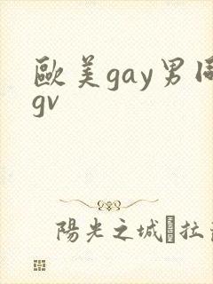 欧美gay男同gv