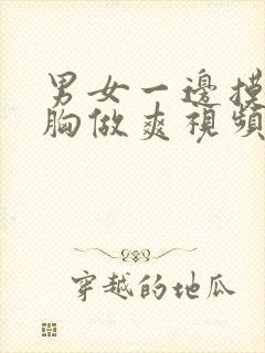 男女一边摸一吻胸做爽视频