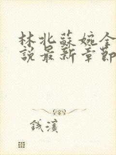 林北苏婉全本小说最新章节