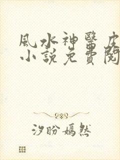 风水神医皮剑青小说免费阅读下载