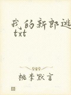 我的新郎逃婚了 txt