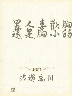 男人喜欢胸大的还是胸小的女人