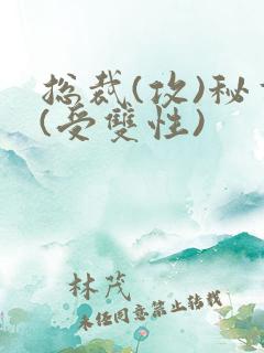 总裁(攻)秘书(受双性)