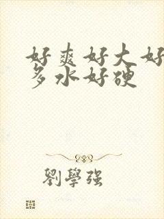 好爽好大好湿好多水好硬