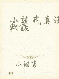 小说 我真没吃软饭