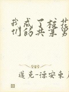 我成了校花女神们的共享男友的全部小说