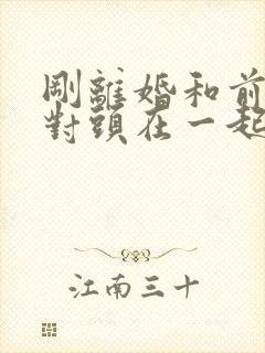 刚离婚和前妻死对头在一起短剧