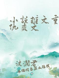 小说推文重生复仇爽文