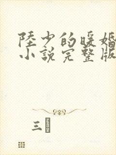 陆少的暖婚新妻小说完整版本