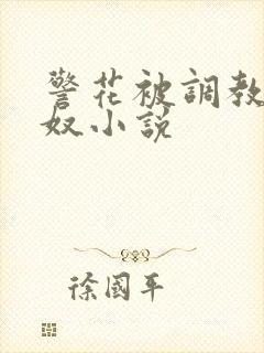 警花被调教成女奴小说