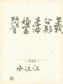 闪婚老公是千亿首富海彤战