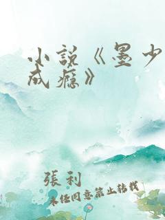 小说《墨少宠妻成瘾》