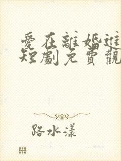 爱在离婚进行时短剧免费观看