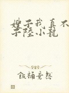 嫂子我真不是傻子陆小龙