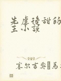 先虐后甜的双男主小说