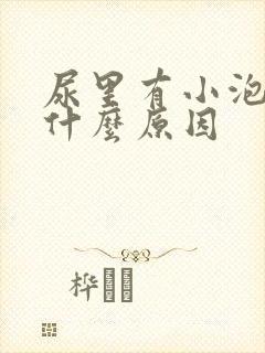 尿里有小泡泡是什么原因