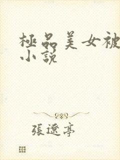 极品美女被我操小说