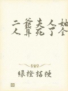 二爷夫人她又把人算死了全集
