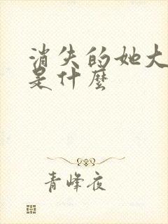 消失的她大结局是什么