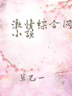 激情综合网激情小说