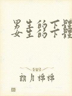 男生的下体插进女生的下体