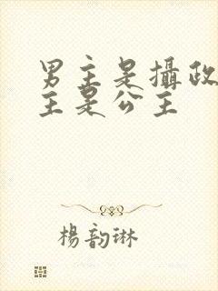 男主是摄政王女主是公主