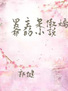 男主是傲娇小少爷的小说