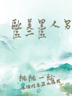 欧美黑人另类一区二区